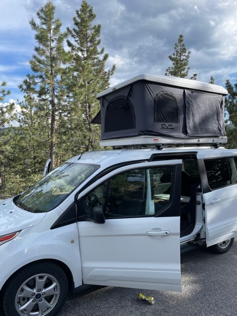 2017 Ford Transit Connect (sleeps 4-5, 5 seatbelts!)- Shaggy Reisemobil in San Anselmo