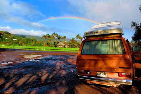 Sandy - Maui Westy Camper Campervan in Makawao