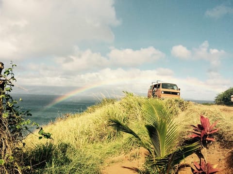Sandy - Maui Westy Camper Reisemobil in Makawao