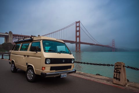 I just love this picture. Here is Buttercup looking like royalty in front of the iconic Golden Gate Bridge in San Fransisco. She is so beautiful.