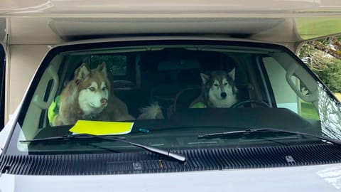 All drivers must have a valid drivers license and insurance.
Pet friendly 