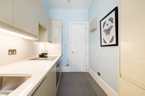 The Mayfair Suite II Apartment in City of Westminster