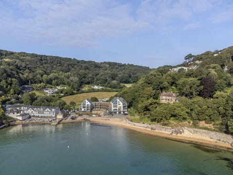 Soothing Sea Air Apartment in Salcombe