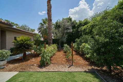 Lauder's Lounge Apartment in Palm Springs