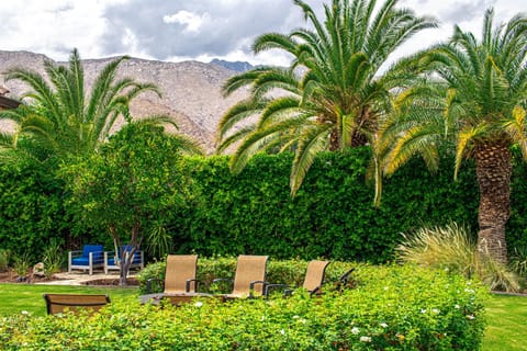 Lauder's Lounge Apartment in Palm Springs