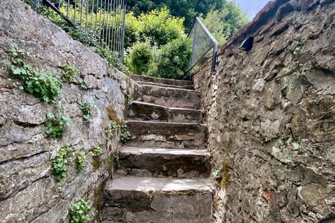 The Garden of Florence Apartment in Florence