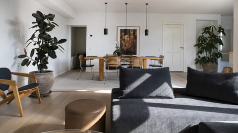 Parallelogram Apartment in Copenhagen