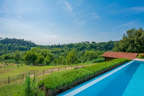 Valley of the Vines Apartment in Tuscany