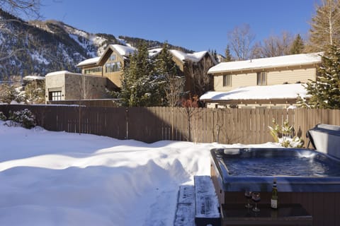Snowy Lodge House in Aspen