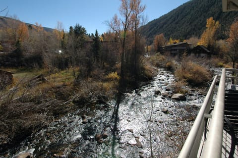Sounds Of The Stream Condo in Aspen