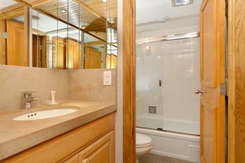 Toasty Toes Apartment in Aspen