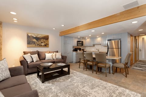 Toasty Toes Apartment in Aspen