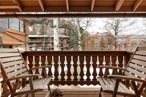 The Modern Moose House in Aspen