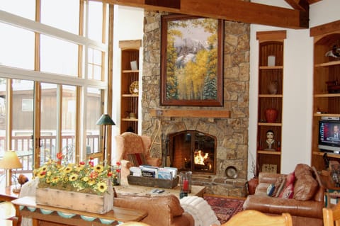 Black Bear Lodge House in Aspen