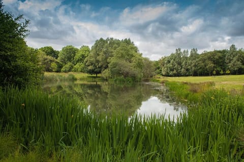 Wild Orchid Cabin in South Somerset District