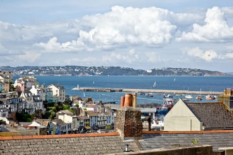 The Three Gulls Apartment in Brixham