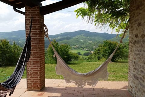 Wild Olive Villa in Umbria