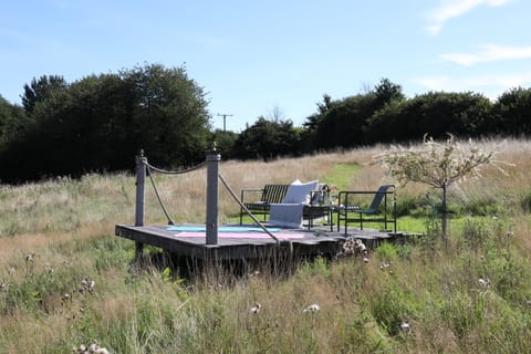 Grazing In The Grass Apartment in East Devon District