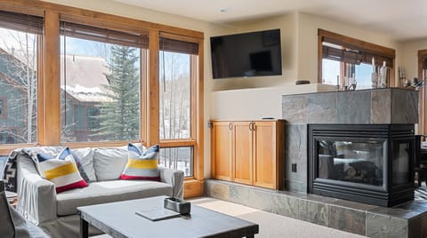 Snowy Shoes Apartment in Telluride