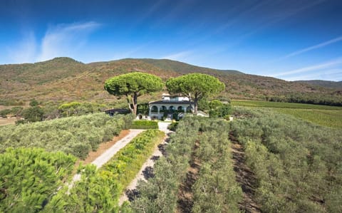 Great Urns Apartment in Castiglione della Pescaia