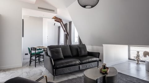 Munificence Condo in Paris