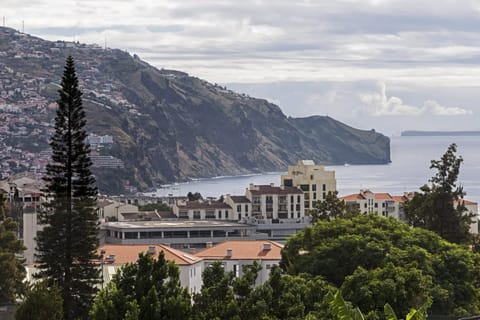 Tropical Flowers Apartment in Funchal