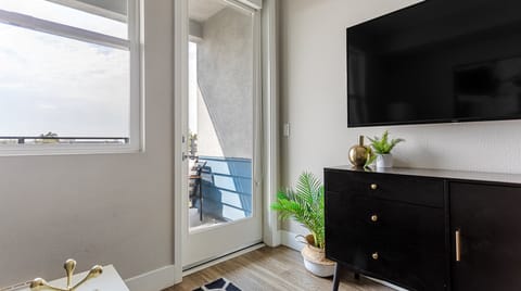 Teal and Pebble Grey Apartment in Santa Ana