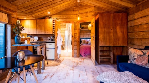 Shingle Beach Cabin in Milford on Sea