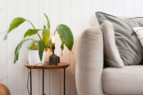 Cairngorm Charm Apartment in Scotland