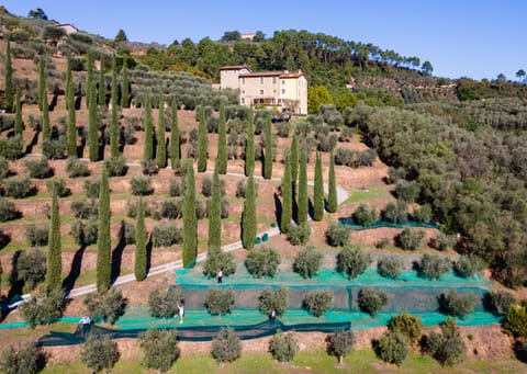 Breeze Into The Sun Apartment in Capannori