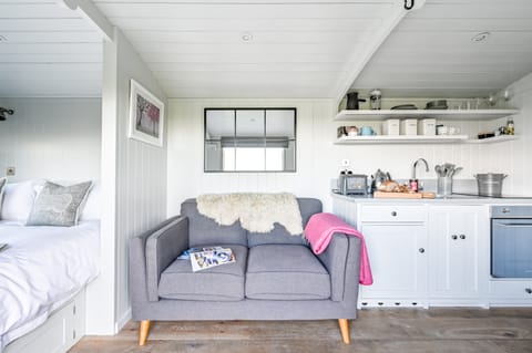 Under Starry Skies Apartment in West Devon District