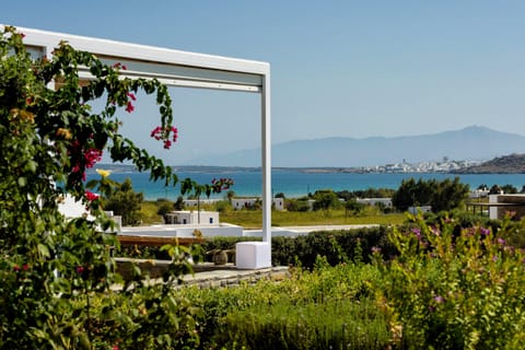 Eleonora's Falcon Apartment in Paros, Greece