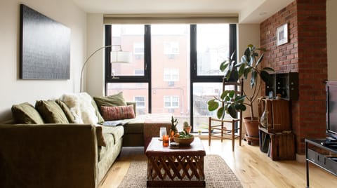 Rubber Fig Apartment in Manhattan