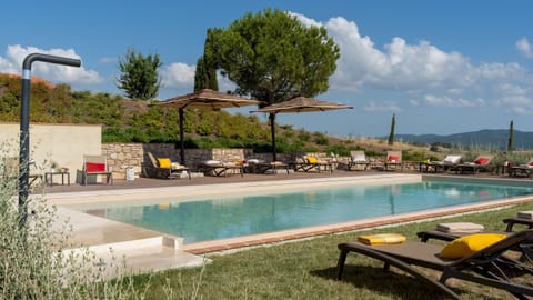 Hillside Vines Apartment in Tuscany