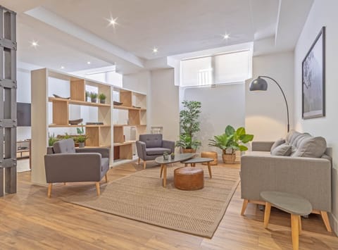 The Indoor Gardener Apartment in Madrid