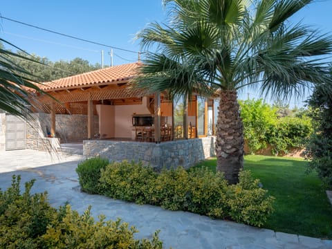 Grape Seed Apartment in Crete