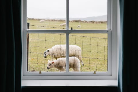 The Voice of Nature Apartment in Scotland