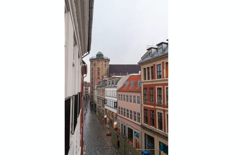 Sundays in the Sunroom Apartment in Copenhagen