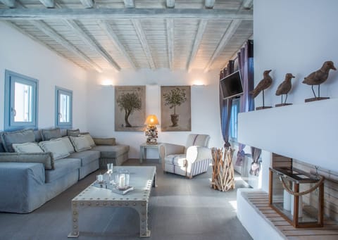 Dance of Driftwood Apartment in Paros, Greece