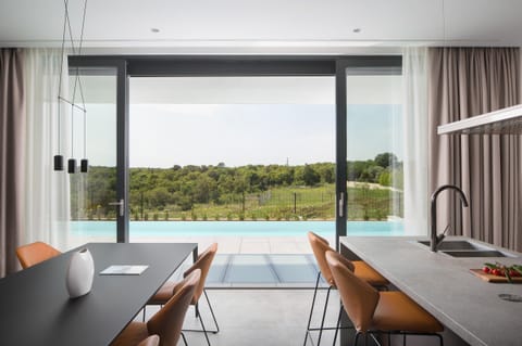 The Suncatcher Apartment in Istria County