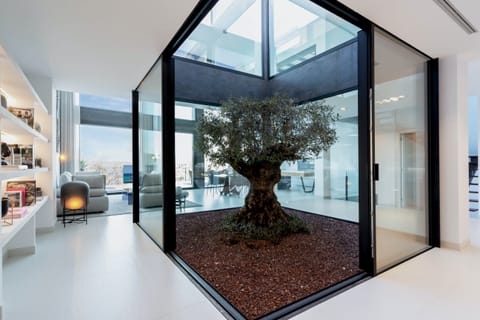 The Tree of Life Villa in Pla de Mallorca