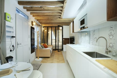 Riverside Catwalk Apartment in Paris