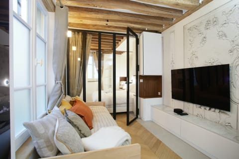 Riverside Catwalk Apartment in Paris