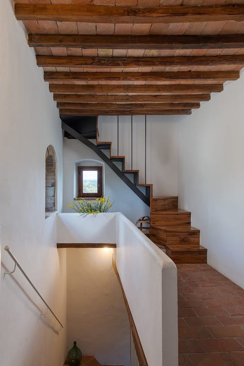 Tower Of Vines Apartment in Tuscany