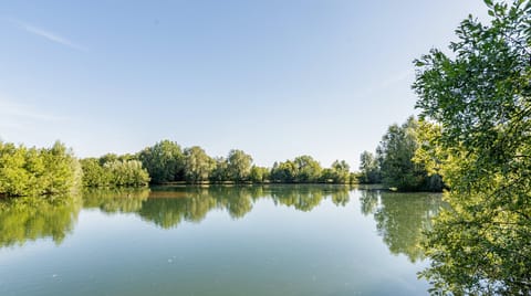 The Ripple Effect Apartment in Cotswold District