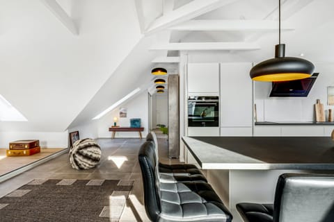 Vision of Light   Apartment in Aalborg