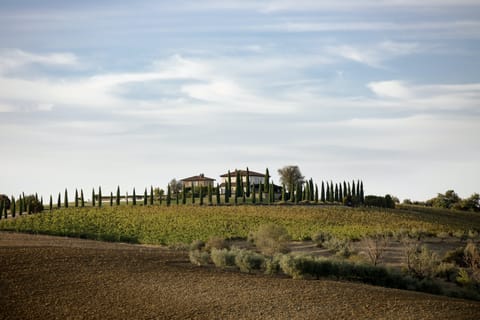 Villa Serenity   Villa in Umbria