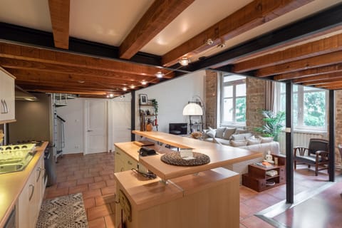 Stone Atelier Apartment in Lyon