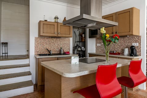 The River of Life Apartment in Provence-Alpes-Côte d'Azur