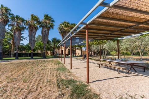 Barefoot on the Stone Apartment in Pla de Mallorca